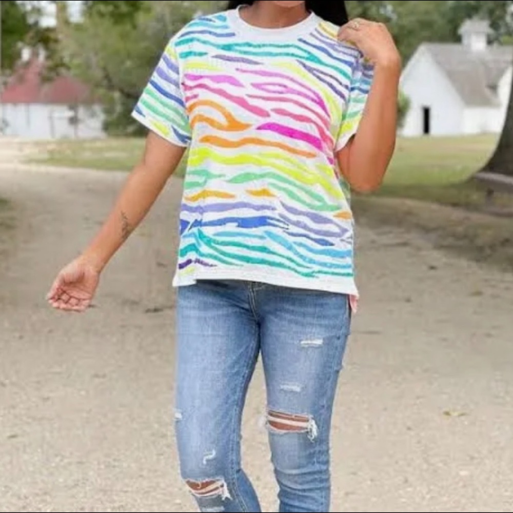 Colorful Zebra Print T-Shirt